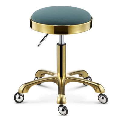 JKSVTF Swivel Round Rolling Stool with 5 Wheels Seat Cushion PU Leather Heavy Duty Salon Massage Work Chair Hydraulic Gas Lift Stools Adjustable Height 17.7-22.8in for Tattoo (Green)
