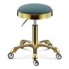 JKSVTF Swivel Round Rolling Stool with 5 Wheels Seat Cushion PU Leather Heavy Duty Salon Massage Work Chair Hydraulic Gas Lift Stools Adjustable Height 17.7-22.8in for Tattoo (Green) view 1