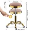JKSVTF Swivel Round Rolling Stool with 5 Wheels Seat Cushion PU Leather Heavy Duty Salon Massage Work Chair Hydraulic Gas Lift Stools Adjustable Height 17.7-22.8in for Tattoo (Green) view 2