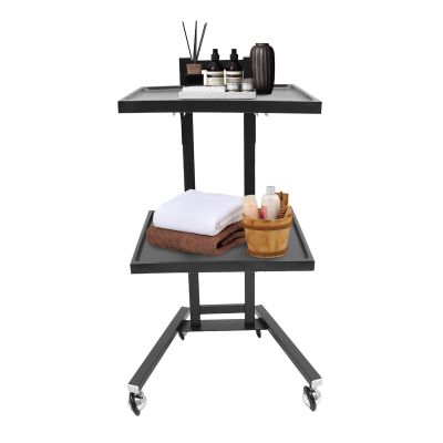 Stainless Steel Salon Tray On Wheels, Multifunctional 2-Tray Utility Metal Cart on Wheels Folding Beauty Salon SPA Trolley for Salons, Spas and Barbershops Tattoo Medical Dental(Black)