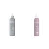 ABBA- All-In-One Leave-In Spray & Volume Foam Styling Mousse - 8 fl oz Each view 1