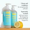 Bliss Grapefruit & Aloe Body Butter, Lemon & Sage Body Scrub, and Soapy Suds Body Wash Trio - Ultra-Hydrating Moisturizer, Exfoliating Scrub & Refreshing Cleanser for Soft, Radiant Skin view 4