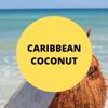 Black Canyon Caribbean Coconut Scented Argan Oil Hair Conditioner, 16 Oz (2 Pack) view 2