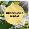 Black Canyon Honeysuckle Bloom Scented Hair Detangler with Argan Oil, 4 Oz (2 Pack) view 2