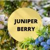 Black Canyon Juniper Berry Scented Argan Oil Hair Conditioner, 16 Oz (2 Pack) view 2