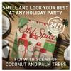 Old Spice Gift Set Holidude Edition 2024 (Holidude Set, Fiji) view 2