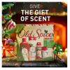 Old Spice Gift Set Holidude Edition 2024 (Holidude Set, Fiji) view 4