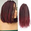 10 Inch Box Braids Crochet Hair Burgundy Crochet Box Braids Pre Looped 7 Packs Braiding Hair for Black Women (10 Inch,7 Packs, Tbug) view 1