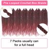 10 Inch Box Braids Crochet Hair Burgundy Crochet Box Braids Pre Looped 7 Packs Braiding Hair for Black Women (10 Inch,7 Packs, Tbug) view 4
