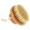 ADOCARN Exfoliating Body Scrubber Shower Brush Bathtub Accessory Back Scrubber Brush view 1
