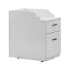 AVIGNON Pedicure Trolley Pedi Rolling Cart with Back Cabinet Nail Salon Spa Storage Pedicart, Large, White view 1