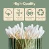 500 Count-Bamboo Double-Tipped Cotton Swabs, Organic & Biodegradable Ear Buds, Multipurpose for Hygiene, Beauty, and Home, Greenness Recyclable Packaging view 2
