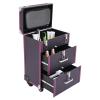 PalaUha Rolling Makeup Train Case Professional Cosmetic Organizer Trolley with Drawers Compartment Nail Case Wheeled Manicure Pedicure Storage Case for Hair Stylists Makeup Artists (Purple & Silver) view 2