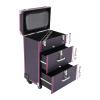 PalaUha Rolling Makeup Train Case Professional Cosmetic Organizer Trolley with Drawers Compartment Nail Case Wheeled Manicure Pedicure Storage Case for Hair Stylists Makeup Artists (Purple & Silver) view 3