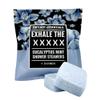 Explicit Essentials Exhale The BS Eucalyptus Mint Shower Steamers | Aromatherapy Eucalyptus and Mint Shower Steamers | Relaxation & Stress Relief Spa Gift for Self-Care, Christmas & Holidays view 1