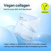 Abib 12-Day Radiance Renewal SET: Collagen Gel Mask 12 Sheets (Sedum & Jericho Rose & Heartleaf) I Korean Skincare, Vegan, Cooling, Calming, Nourishing, Hydrogel Face Mask view 4