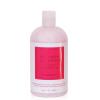 12 Benefits Treatment Shampoo  Hydrating Scalp Treatment, Gentle, Effective Cleanse, Sulfate-Free Shampoo for Dry, Damaged, and Color-Treated Hair, 16 Fl Oz (480 ML) view 1