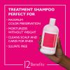 12 Benefits Treatment Shampoo  Hydrating Scalp Treatment, Gentle, Effective Cleanse, Sulfate-Free Shampoo for Dry, Damaged, and Color-Treated Hair, 16 Fl Oz (480 ML) view 3