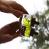 ACTIVIST Green Botanical Serum | Product of New Zealand | Vegan | Handcrafted | 100% Natural (30 mL | 1 fl oz) view 4