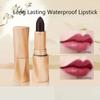 2PCS Swarous Multi-Functional Long-Lasting Color Lipstick, Swarous Lipstick, Matte Lip Lipstick, Black Luxury Velvet Non-Stick Cup Lipstick, Long-Lasting Color Lipstick for Women (#3 * 2) view 2