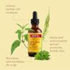 ORS HAIRestore Fertilizing Serum with Nettle Leaf and Horsetail Extract 2 Ounces (Pack of 3) view 2