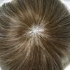 Hair Wonders Hair System for Men Swiss Lace Hairpiece for Men Toupee Real Natural Human Hair Lace Front Mens Hair System 7X9#620#6 Light Brown+20% Grey 110% Light Medium Density view 3