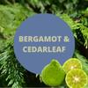 Black Canyon Home and Body Payden's Cobalt Bergamot & Cedarleaf For Men Scented Hair Detangler with Argan Oil, 4 Oz (2 Pack) view 2