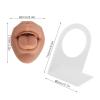Piercing Practice Body Parts, Model Body Part Displays Set, Silicone Simulated 3D Tongue Mouth Model, With Display Stand, for Jewelry Display, Suturing Practice (Brown) view 3