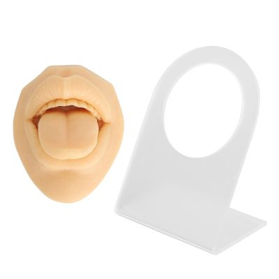 Piercing Practice Body Parts, Model Body Part Displays Set, Silicone Simulated 3D Tongue Mouth Model, With Display Stand, for Jewelry Display, Suturing Practice (Skin Color)