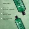 Botanic Hearth Tea Tree Shampoo 8Fl Oz And Conditioner 4 Fl Oz | With 100% Pure Tea Tree Oil, For Itchy And Dry Scalp, Sulfate/Paraben Free | For Men And Women view 2