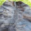 Provellus Goatskins Goat Fur No Odour Top Tanning Natural Bargain (Dark Pack of 5, 90-110 cm) view 3