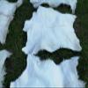 Provellus Goatskins Goat Fur No Odour Top Tanning Natural Bargain (Light Unit Price, 110-120 cm) view 4