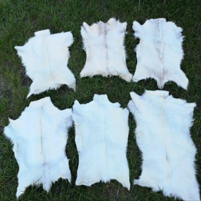 Provellus Goatskins Goat Fur No Odour Top Tanning Natural Bargain (Light Pack of 5, 70-90 cm)