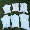 Provellus Goatskins Goat Fur No Odour Top Tanning Natural Bargain (Light Pack of 5, 70-90 cm) view 1
