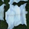 Provellus Goatskins Goat Fur No Odour Top Tanning Natural Bargain (Light Pack of 5, 70-90 cm) view 4