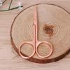 Stainless Steel Makeup Eyebrow Hair Eyelash Remover Trimmer Scissors Cutter view 3