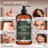 Ella & Eden USDA Organic Castor Oil  Cold Pressed Hexane-Free - Glass Bottle - For Hair Growth, Face, Eyelash, Skin, Stomach - 100% Pure Unrefined 16 Fl Oz view 3