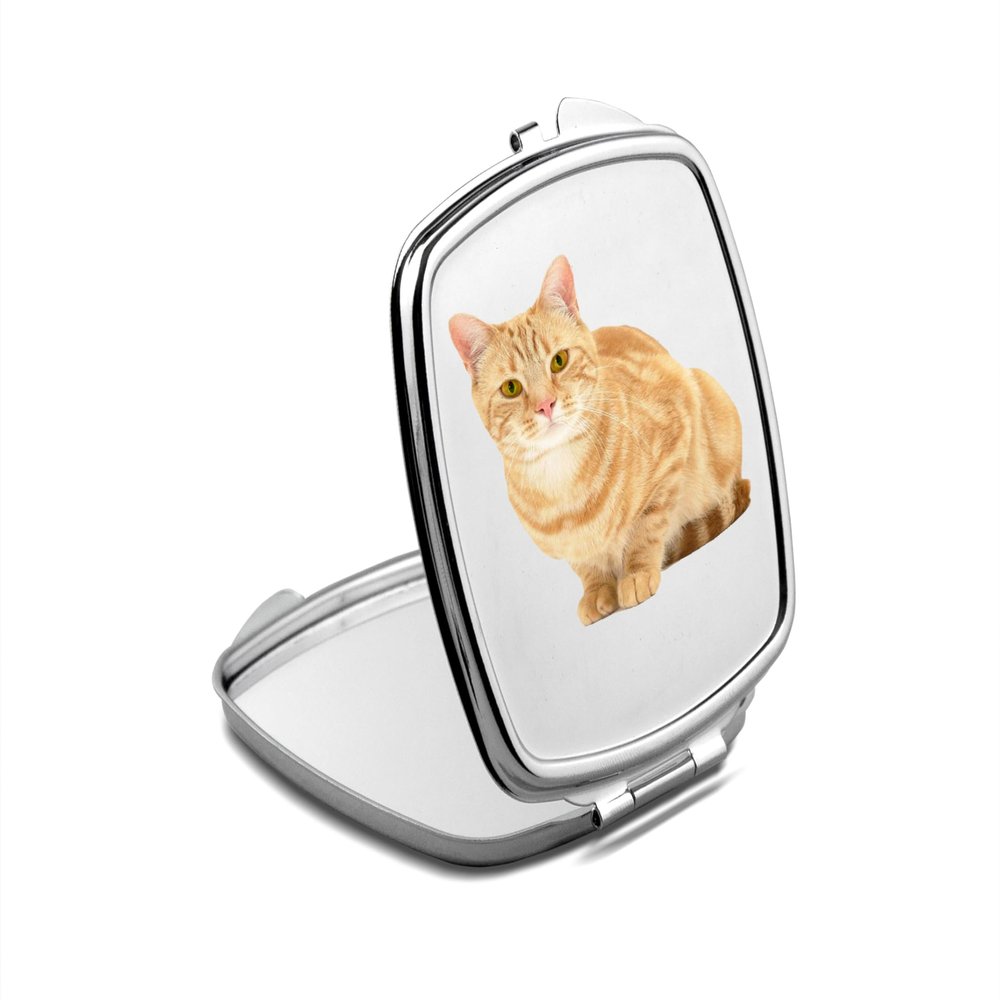 SpreadPassion Orange Tabby Cat Compact Mirror, Cat Photo Mirror, Travel Makeup Mirror Handheld Small Mirror, Portable Pocket Mirror, Birthday Idea (1, Square)