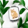 SpreadPassion Orange Tabby Cat Compact Mirror, Cat Photo Mirror, Travel Makeup Mirror Handheld Small Mirror, Portable Pocket Mirror, Birthday Idea (1, Square) view 4