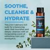 Soapbox Men's Scalp Care 2 in 1 Shampoo and Conditioner For Men, Natural Mens Shampoo and Conditioner, Tea Tree & Eucalyptus, 16oz view 3