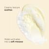 Clarins NEW Hydrating Gentle Foaming Face Cleanser | Cleanses, Soothes, and Softens | Contains Aloe Vera to Boost Hydration | Soap-Free | SLS-Free| Normal To Dry Skin Types | 4.2 Ounces (Pack of 2) view 3