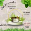ALFILIX Ultra-Rich Moisturizer Shata Dhauta Ghrita - 100 Times Washed Ghee | Ancient Skin Repair Night Cream | Night Face Cream | Natural Moisturizer | Ayurvedic Remedy for Dryness and Wrinkles view 2