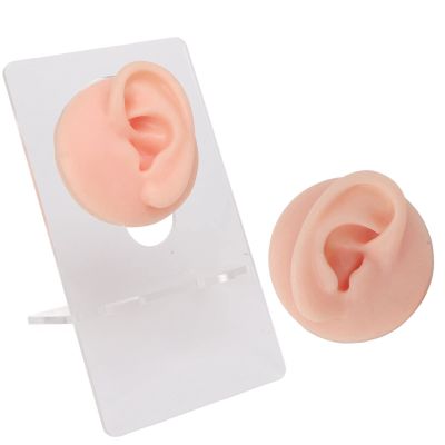 Dioche Fake Ears, Fake Body Parts Ear Model Soft Silicone High Simulation Human Ear Model Silicone Earrings for Piercing Practice and Jewelry Display Acupuncture Teaching Tool (Light