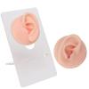 Dioche Fake Ears, Fake Body Parts Ear Model Soft Silicone High Simulation Human Ear Model Silicone Earrings for Piercing Practice and Jewelry Display Acupuncture Teaching Tool (Light view 1