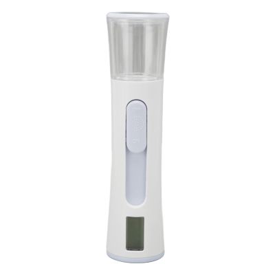 Dual Headed Steam Facial Sprayer, Hydrating Moisturizing Skin Tester for Water Oil Balance, with LCD Screen, for Lovers, Girlfriend's Birthday