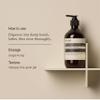 Aesop Resurrection and Reverence Aromatique Hand Wash | Gentle Cleanser + Exfoliating Hand Scrub Set | 16.9 oz view 3