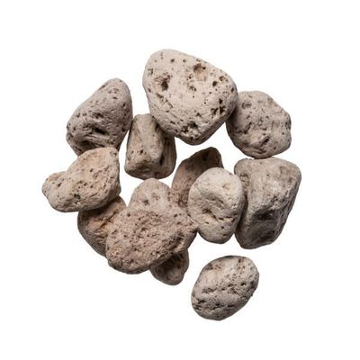 PlumDragon Herbs Fu Hai Shi (Pumice) 1lb
