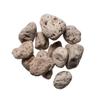 PlumDragon Herbs Fu Hai Shi (Pumice) 1lb view 1