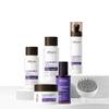 Alfheim Lavender+ Purple Hair Care Gift Set | Purple Shampoo & Conditioner for Blonde, Silver & Highlighted Hair | Neutralizes Brass, Hydrates & Shines | Sulfate-Free, Color-Safe | Holiday Gift Set view 1