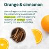 ATTITUDE Limited Edition Liquid Hand Soap, EWG Verified, Plant and Mineral-Based, Vegan Personal Care Products, Orange Cinnamon, 16 Fl Oz (Pack of 6) view 4